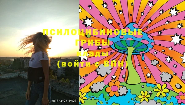 тгк Бронницы