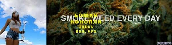 стаф Бугульма