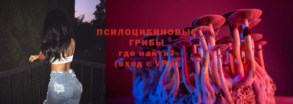 тгк Бронницы