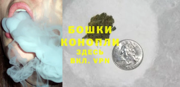 тгк Бронницы