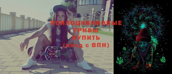 стаф Бугульма