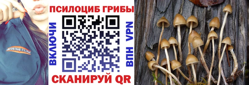 Псилоцибиновые грибы прущие грибы  ОМГ ОМГ зеркало  Александровское 